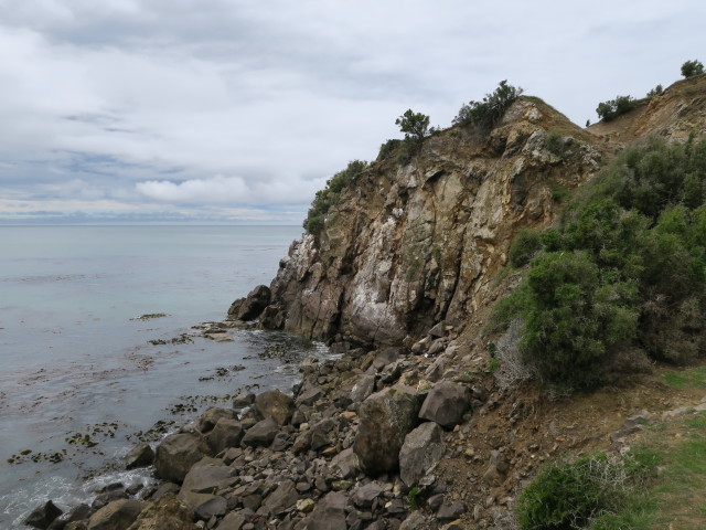 Moeraki Point (15. Nov.)