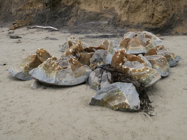 Moeraki Boulders (15. Nov.)