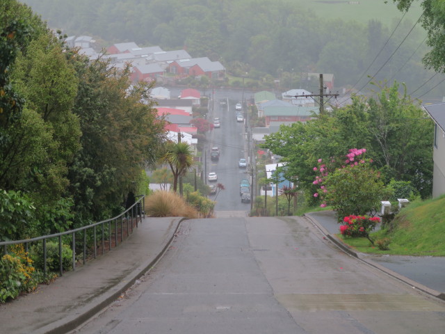 Baldwin Street in Dunedin (16. Nov.)