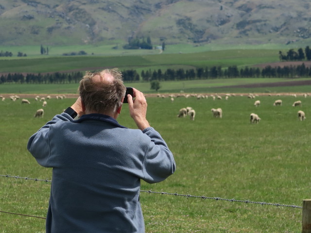 Papa neben der SR 85 (16. Nov.)