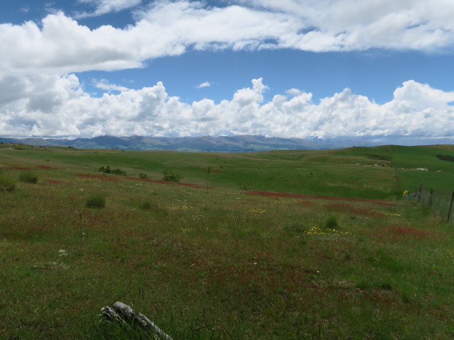 neben der Ida Valley-Omakau Road (16. Nov.)