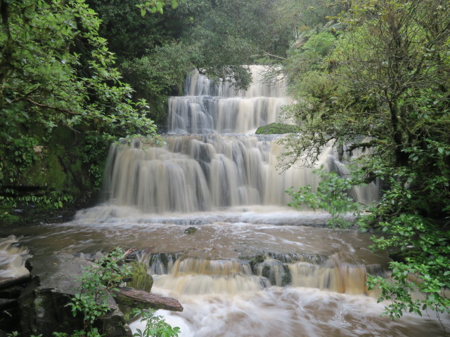 Purakanui Falls (17. Nov.)