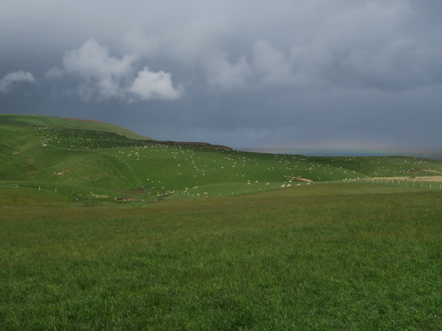 beim Slope Point (17. Nov.)