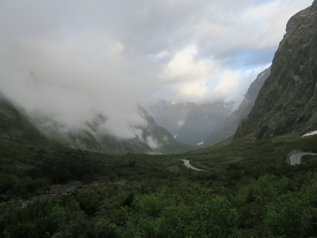 Milford Sound Highway (19. Nov.)