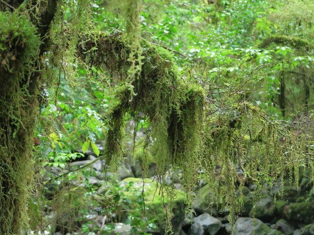 bei The Chasm (19. Nov.)