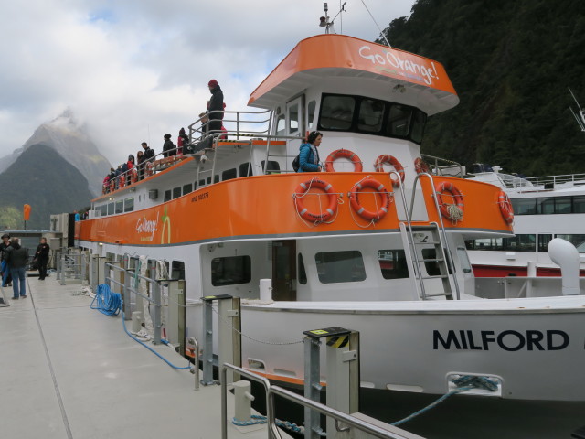 Milford Haven im Milford Sound (19. Nov.)