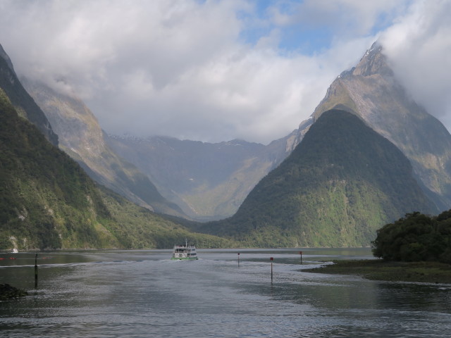 Milford Sound (19. Nov.)