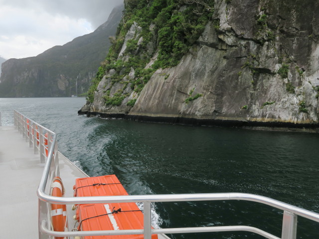 Milford Sound (19. Nov.)