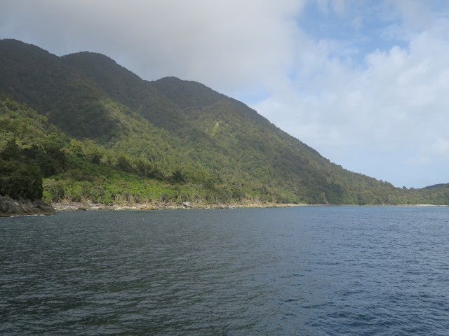 Milford Sound (19. Nov.)