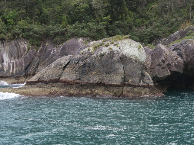 Dale Point im Milford Sound (19. Nov.)