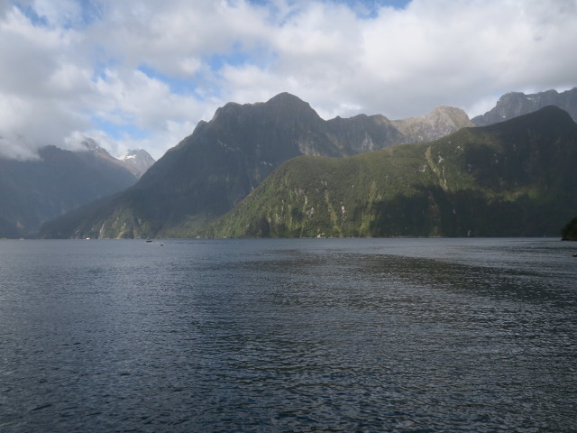 Milford Sound (19. Nov.)