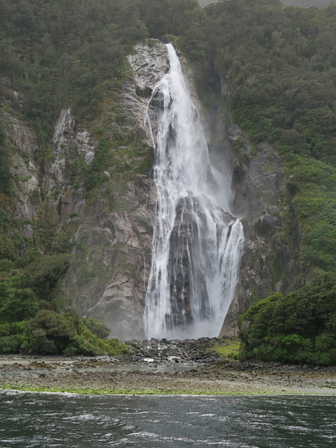 Bowen Falls vom Milford Sound aus (19. Nov.)