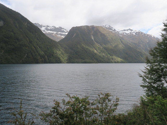 Lake Gunn, 480 m (19. Nov.)