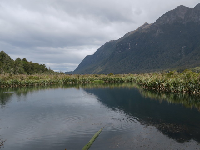 Mirror Lakes (19. Nov.)