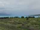 Lake Pukaki (14. Nov.)