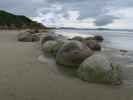 Moeraki Boulders (15. Nov.)