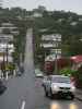 Baldwin Street in Dunedin (16. Nov.)