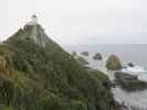 Nugget Point (17. Nov.)