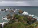 Nugget Point (17. Nov.)