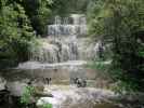 Purakanui Falls (17. Nov.)