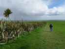 Papa beim Slope Point (17. Nov.)