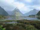 Milford Sound (19. Nov.)