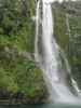 Stirling Falls vom Milford Sound aus (19. Nov.)