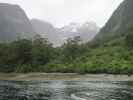 Harrison Cove im Milford Sound (19. Nov.)