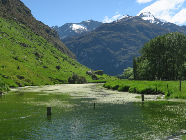 Matukituki Valley (20. Nov.)