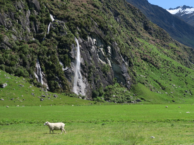 West Matukituki Valley (20. Nov.)