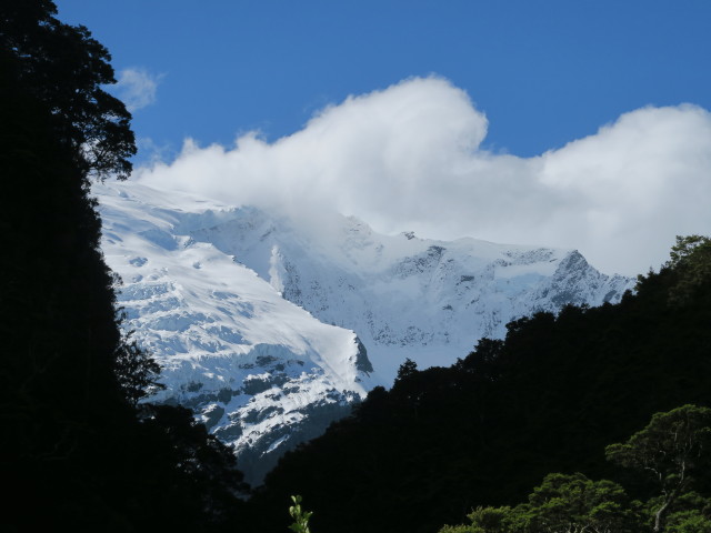 Rob Roy Glacier vom Rob Roy Glacier Track aus (20. Nov.)