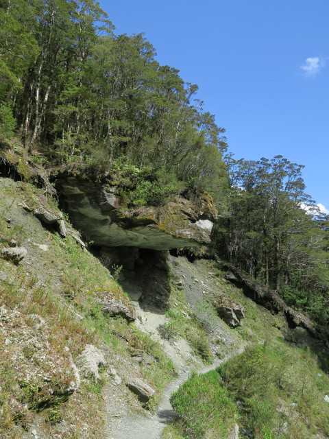 Rob Roy Glacier Track (20. Nov.)