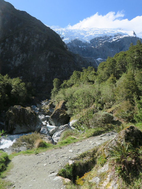 Rob Roy Glacier Track (20. Nov.)