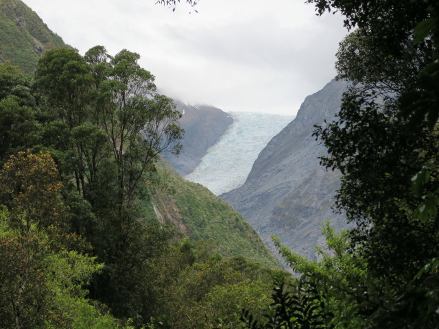 Fox Glacier im Tai Poutini National Park (21. Nov.)