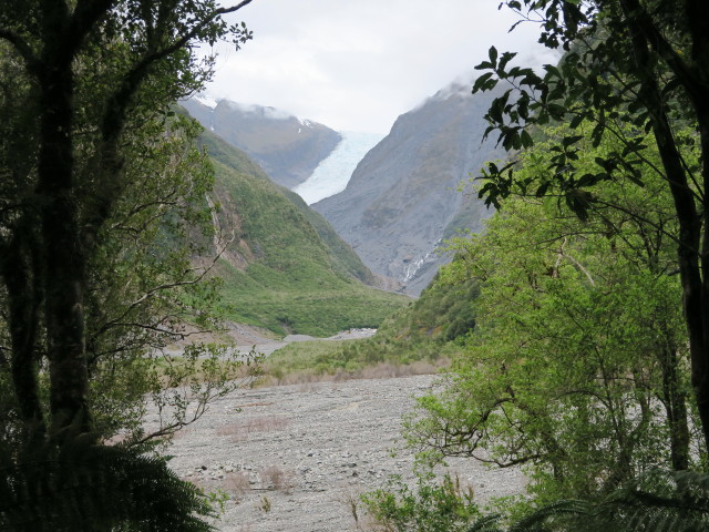 Fox Glacier im Tai Poutini National Park (21. Nov.)