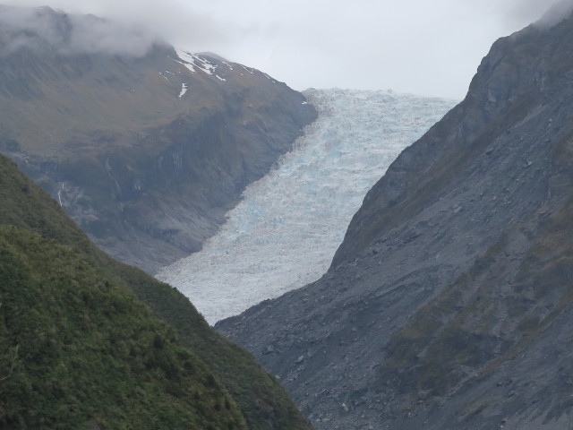 Fox Glacier im Tai Poutini National Park (21. Nov.)