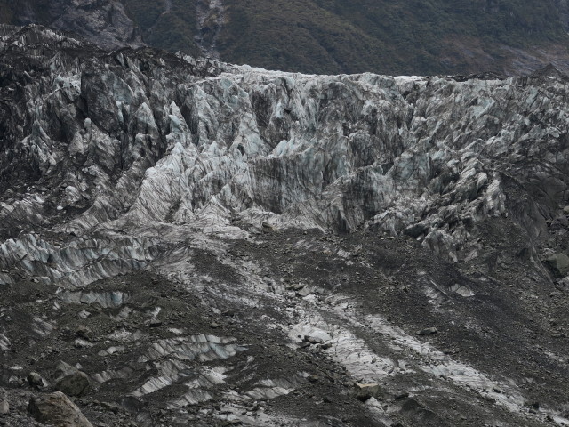 Fox Glacier vom Fox Glacier Lookout aus (21. Nov.)