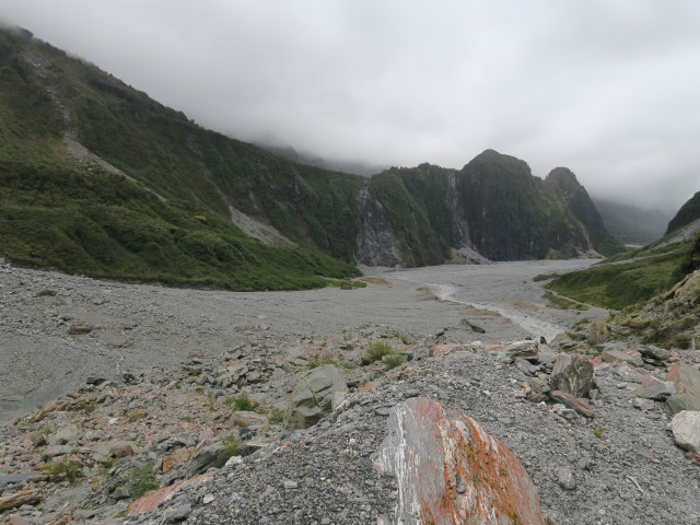 Fox Glacier Valley Walk im Westland Tai Poutini National Park (21. Nov.)