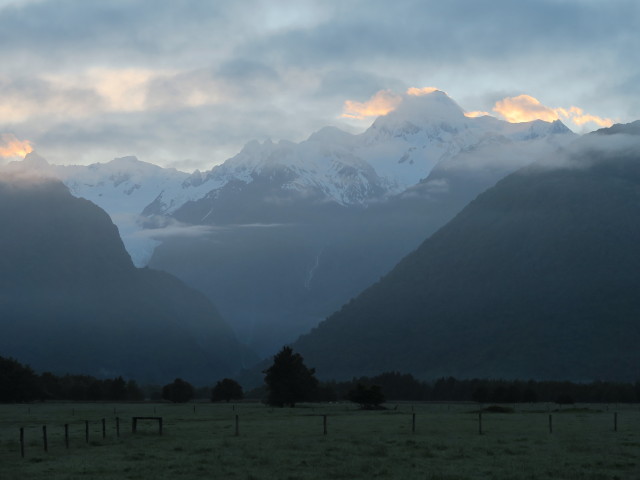 Westland Tai Poutini National Park (22. Nov.)