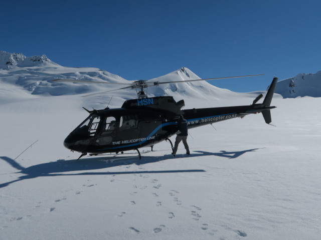 Franz Josef Glacier im Westland Tai Poutini National Park (22. Nov.)