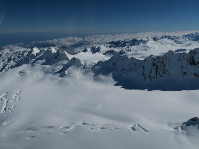 Fox Glacier im Westland Tai Poutini National Park (22. Nov.)