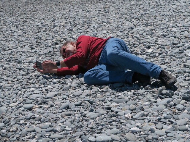 Papa am Okarito Beach (22. Nov.)