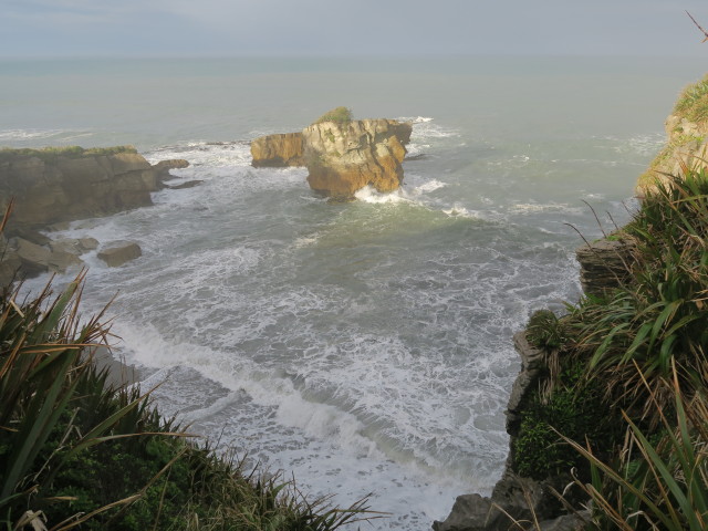 Punakaiki Pancake Rocks im Paparoa National Park (23. Nov.)