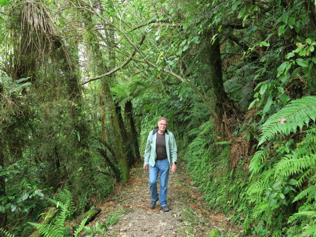 Papa am Lake Hanlon Trail (23. Nov.)