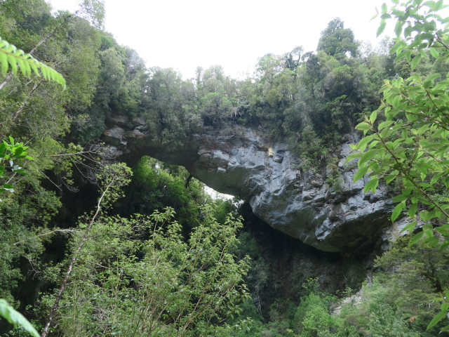 Oparara Arch im Kahurangi National Park (24. Nov.)