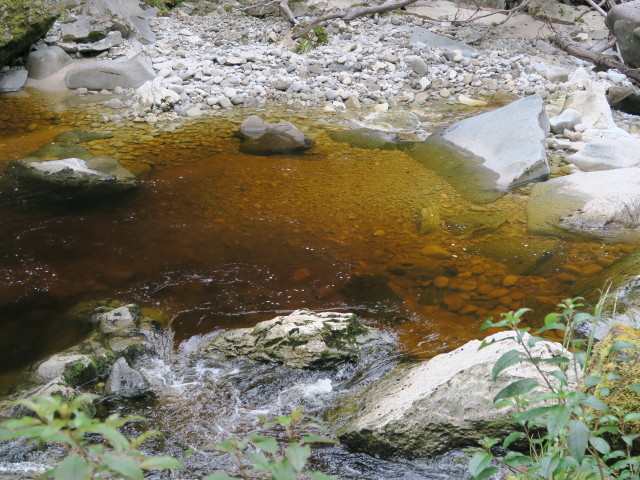 Oparara River im Kahurangi National Park (24. Nov.)