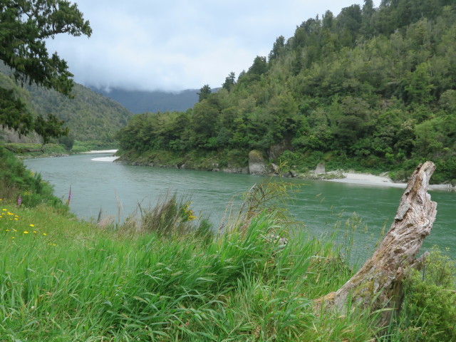 Lower Buller Gorge (24. Nov.)