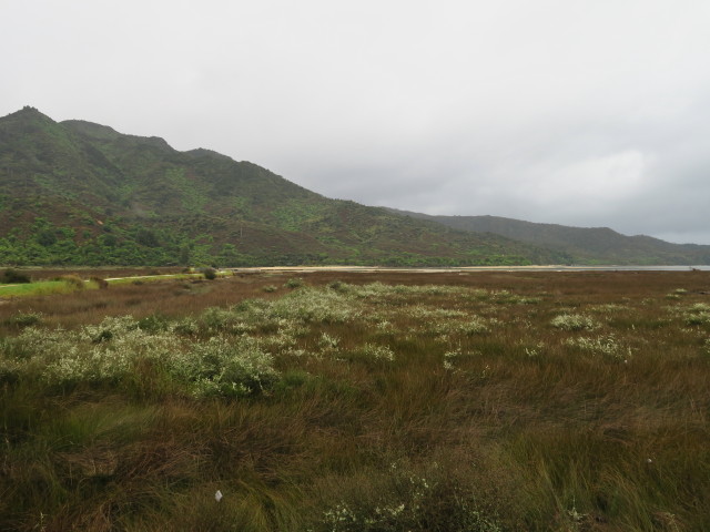 Sandy Bay (25. Nov.)