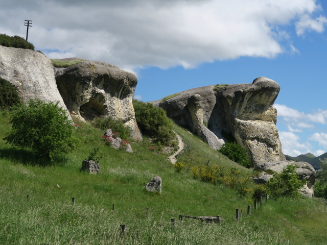 Frog Rock (25. Nov.)