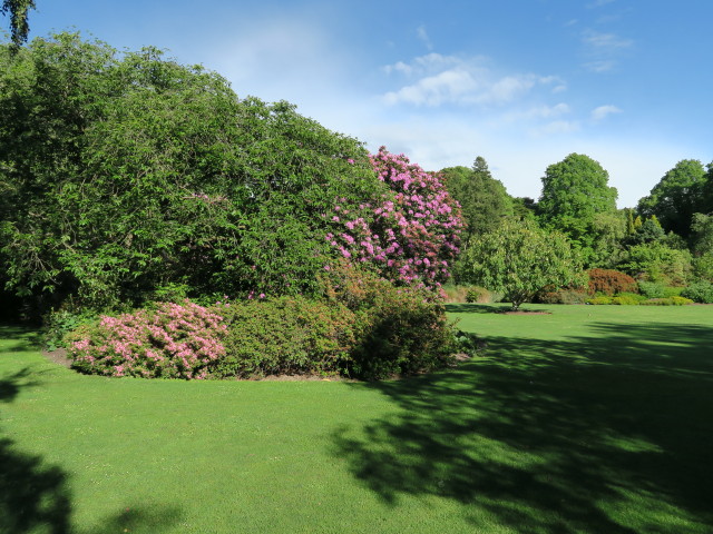 Christchurch Botanic Gardens (26. Nov.)
